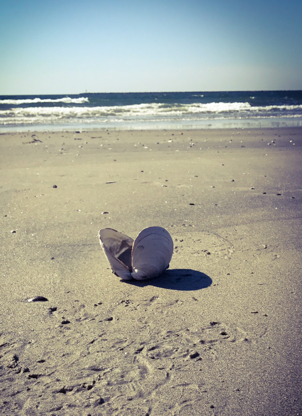 7ED69A71-B265-477F-ADCE-735769456007